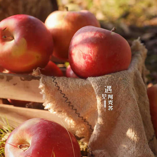 阿克苏冰糖心苹果礼盒装 商品图4