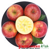 【珠三角包邮】农匠 冰糖心红富士苹果  8.5-9斤/箱（1月16日到货） 商品缩略图2