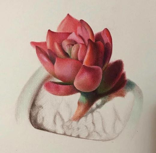 尼奥尼油性彩铅 商品图9