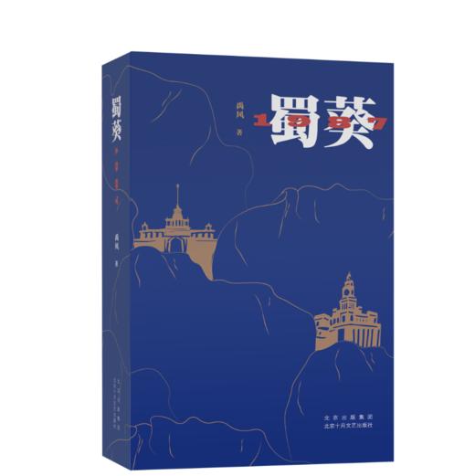 蜀葵1987  新锐作家禹风 最新长篇小说 商品图1