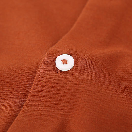 YvesFigarau伊夫·费嘉罗秋冬新款简约抗皱舒适保暖休闲长袖衬衫902325 商品图8