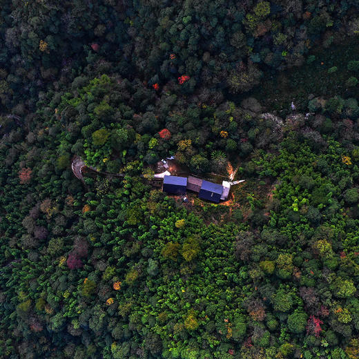 热销试饮单泡茶 商品图3