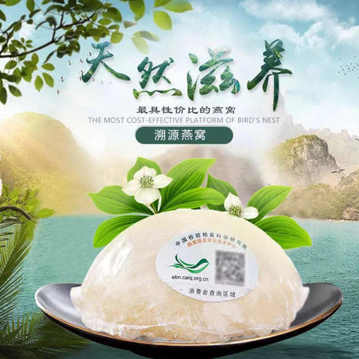 马来西亚溯源燕窝白燕盏 商品图1