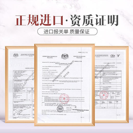 庄民 干燕窝 白燕盏碎50g 粉金版礼盒装  正品老人女人产后燕窝 不刷胶一盏一码 顺丰包邮 商品图5