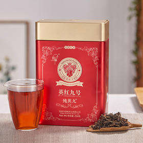 国畅丨纯英九 英红九号 一级 广东特产 250g 买2罐配精美手提袋