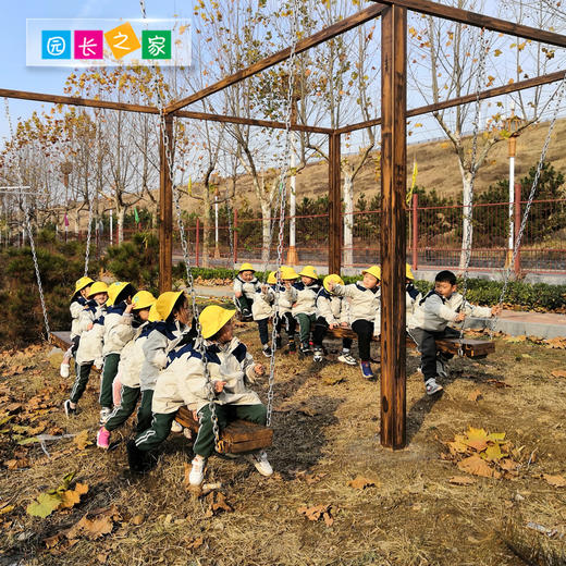 自然教育网红秋千 商品图1