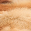 PDD-ZLNJP201124新款男士加厚保暖皮毛一体棉马甲TZF 商品缩略图5