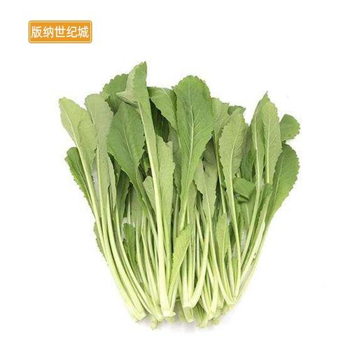 bnС/С Լ500g/