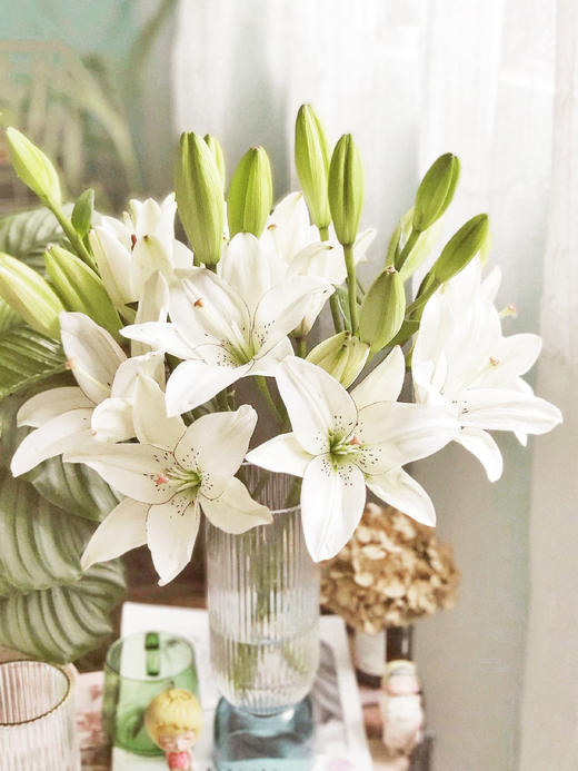 眼线百合【那些说星星亮的人，一定没有看过你的眼睛】简小姐精选 稀有网红新品白色多头亚百 眼线百合 2件包邮 下单72小时发货 商品图13