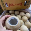 【东泰一个宝】椰皇  即开即饮，甘甜润喉，椰肉爽滑！！36-40个装包邮全国大部分地区 商品缩略图2