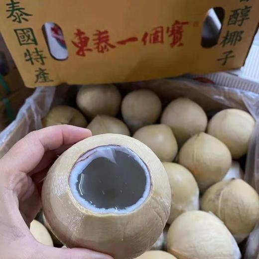 【东泰一个宝】椰皇  即开即饮，甘甜润喉，椰肉爽滑！！36-40个装包邮全国大部分地区 商品图2