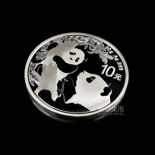 2021熊猫30克银币 商品图3