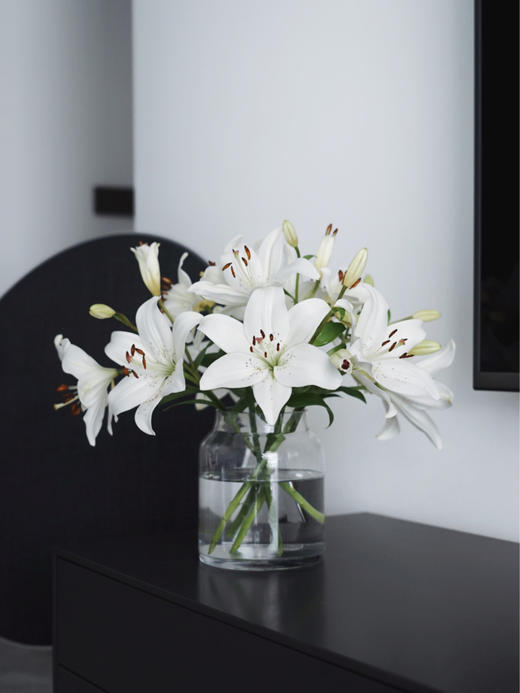 眼线百合【那些说星星亮的人，一定没有看过你的眼睛】简小姐精选 稀有网红新品白色多头亚百 眼线百合 2件包邮 下单72小时发货 商品图4