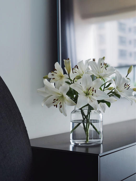 眼线百合【那些说星星亮的人，一定没有看过你的眼睛】简小姐精选 稀有网红新品白色多头亚百 眼线百合 2件包邮 下单72小时发货 商品图6