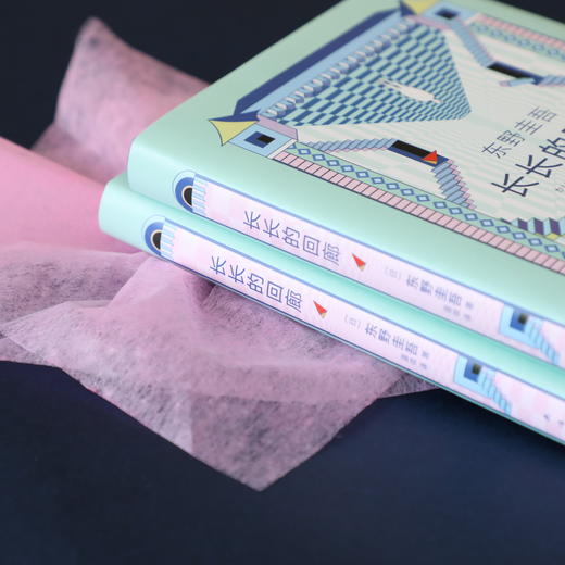 东野圭吾：长长的回廊 商品图1