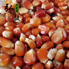 【弘毅六不用生态农场】灯笼红 玉米粒 老品种 自留种  1斤/份