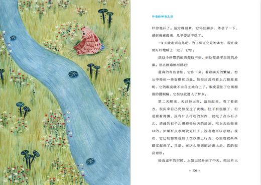 外婆的神奇之旅   作家张琳新作 商品图5