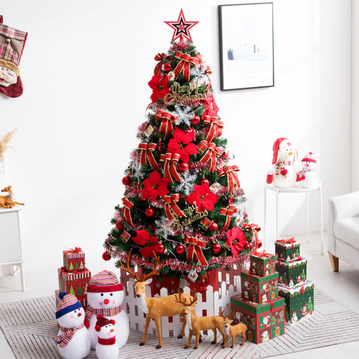 小生有礼 2020年圣诞树节日装饰