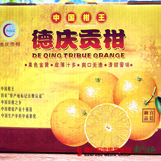 德庆贡柑10斤/箱（果径55起） 商品图1
