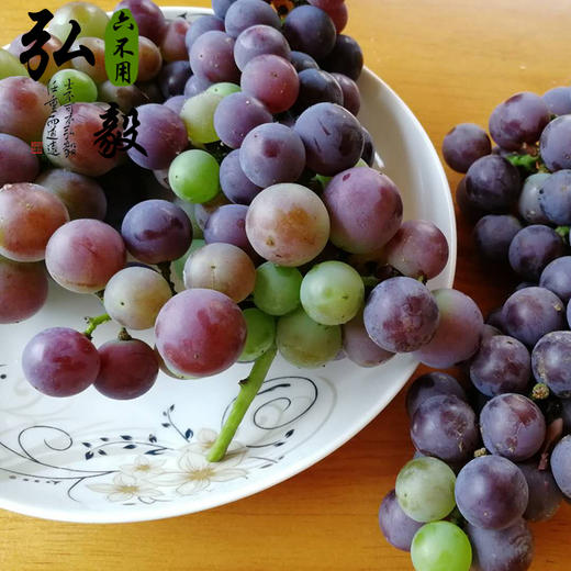 【弘毅六不用生态农场】农场自酿 六不用 葡萄酒 2瓶1500毫升 商品图3