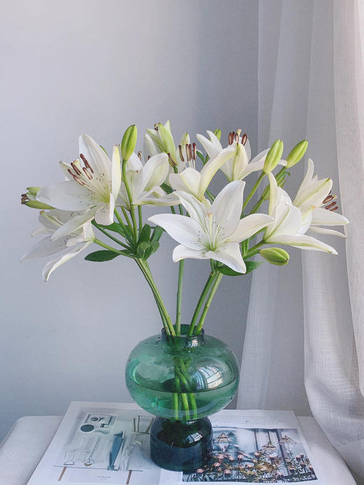 眼线百合【那些说星星亮的人，一定没有看过你的眼睛】简小姐精选 稀有网红新品白色多头亚百 眼线百合 2件包邮 下单72小时发货 商品图7