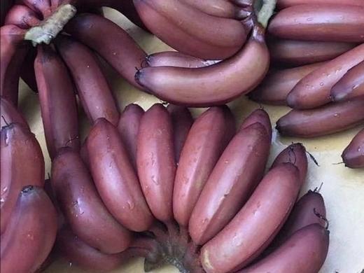 零农残红香蕉|漳州圆通直发 商品图0