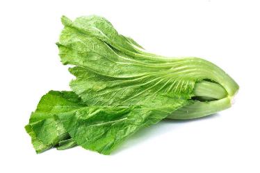 芥菜 （约500g） 商品图0