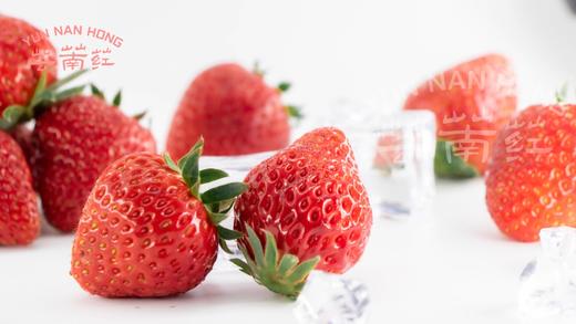芸萳荭·阳光红颜草莓 250g/盒*4份  杜绝激素 人工除草 商品图6