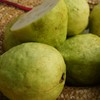 生态番石榴（白肉） | 绿家自产 * Eco-Carmine guava | Self-production 商品缩略图1