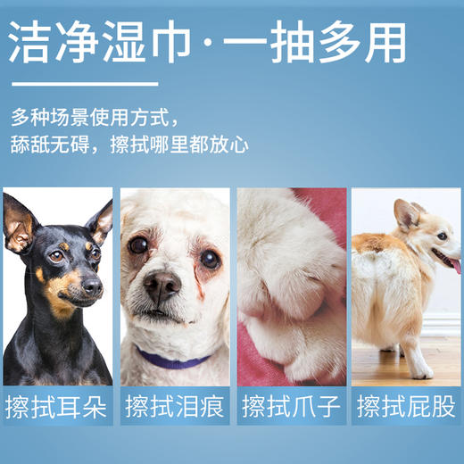 厂家直销 宝莱美露宠物湿巾纸100抽 无酒精无刺激犬猫通用 商品图7