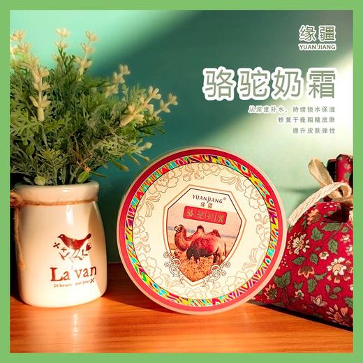 新疆马油/骆驼油 新老包装随机发 商品图0