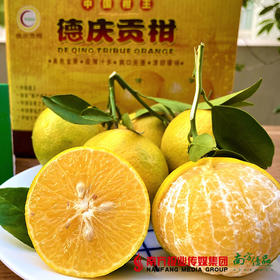 德庆贡柑10斤/箱（果径55起）