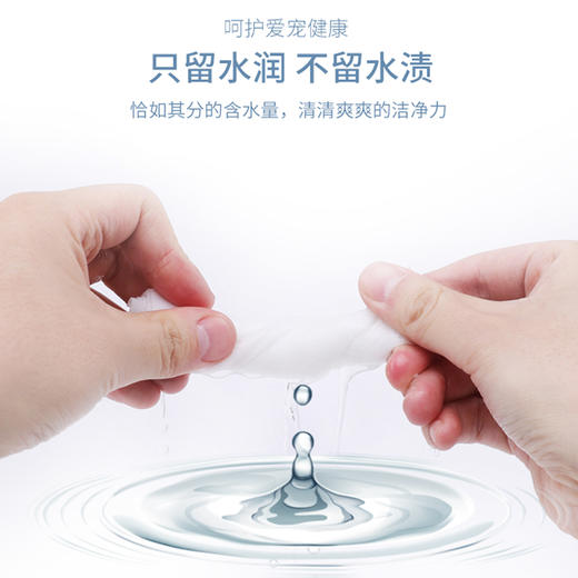 厂家直销 宝莱美露宠物湿巾纸100抽 无酒精无刺激犬猫通用 商品图4