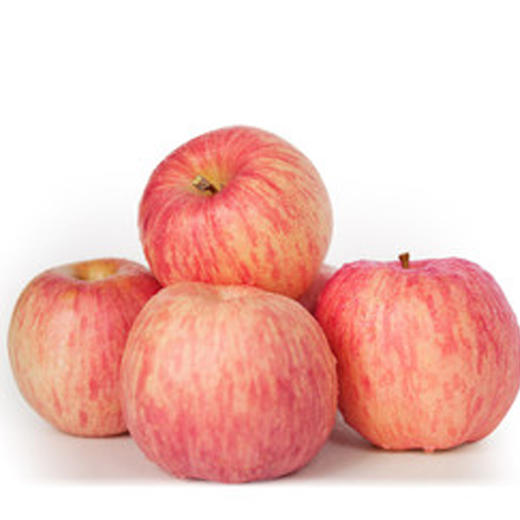 【10元2斤】80富士苹果（1500687） 商品图0