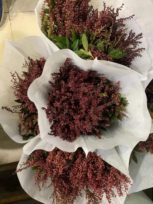 山里红 商品图1