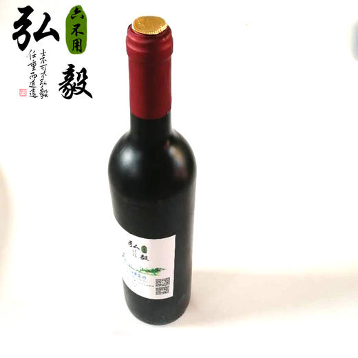 【弘毅六不用生态农场】农场自酿 六不用 葡萄酒 2瓶1500毫升 商品图1