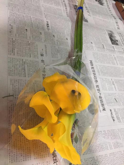 【马蹄莲】国产 （金牌）黄色 5枝/扎 商品图4