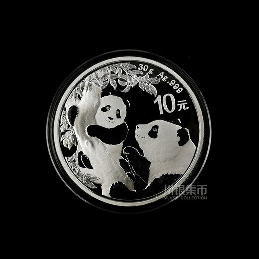 2021熊猫30克银币 商品图0