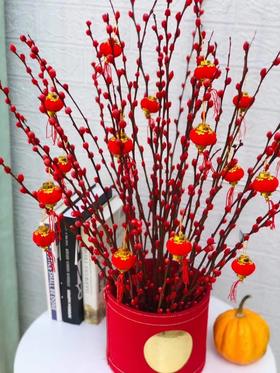 切支.银柳-100枝/扎