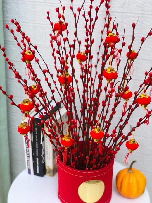 切支.银柳-100枝/扎 商品图0