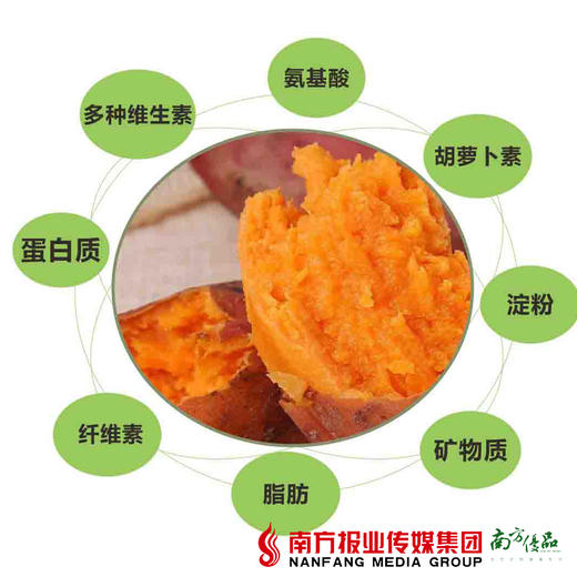 【珠三角包邮】农绿西瓜红红薯 5斤±2两/箱 （3月1日到货) 商品图4