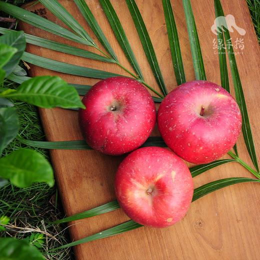 苹果脆片 | 公平贸易 * Eco- apple Chips | Fair trade 商品图2