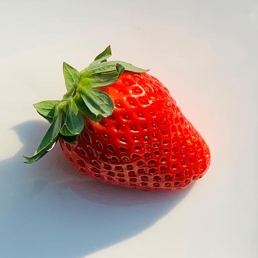佳垦有机章姬草莓颗颗严选自然成熟的佳垦草莓大小均匀的心形自然绯红