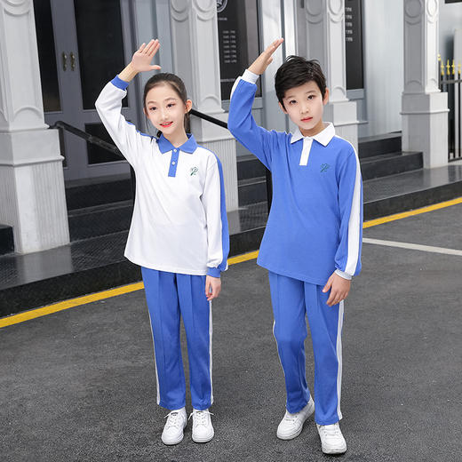 青之树【速干抑菌款】小学秋季运动服 【深圳市中小学校服供应商】 51深圳校服A 商品图2