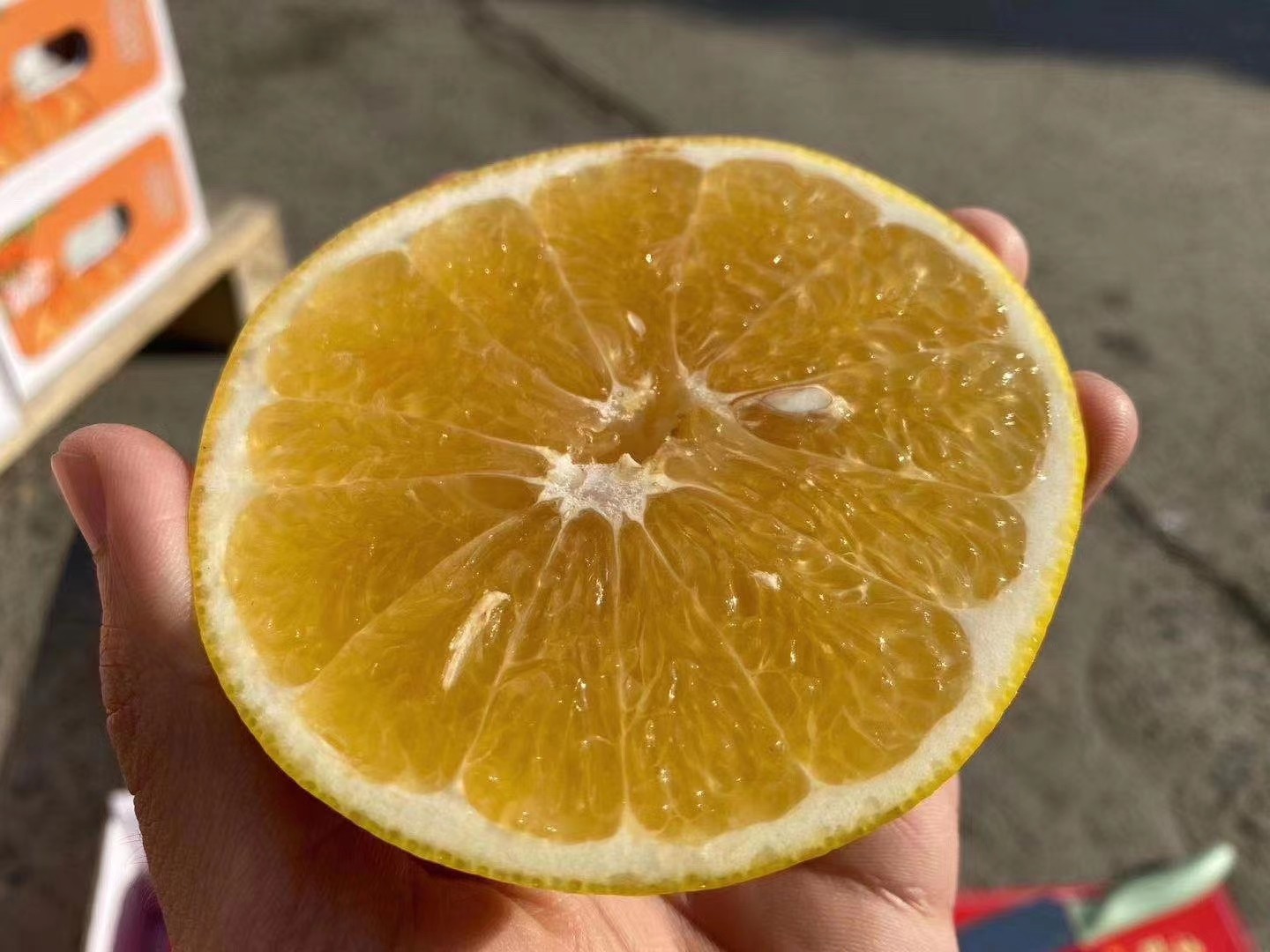 匠心极西施柚水分足