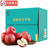 【正宗洛川苹果】顶端果业洛川红富士苹果40枚85mm精选大果 家庭实惠装 商品缩略图0