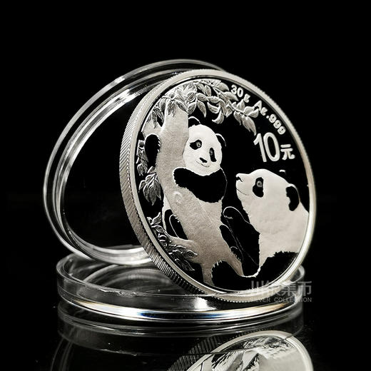 2021熊猫30克银币 商品图2