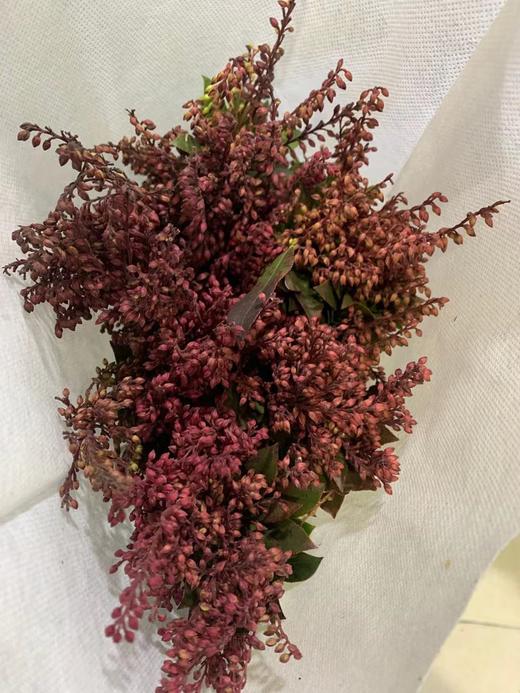 山里红 商品图0