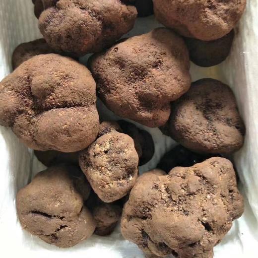 云南黑松露菌新鲜松露煲汤食材块野生菌山珍 500g(4-6cm)