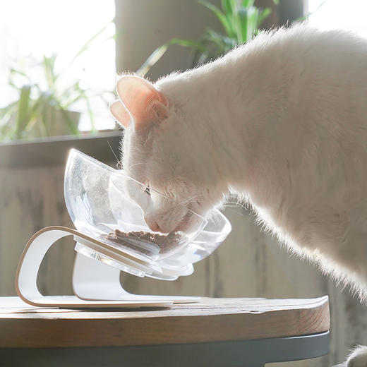 pidan吃饭喝水的碗 猫碗猫食盆猫碗架猫餐桌狗碗透明防滑角度可调 商品图3